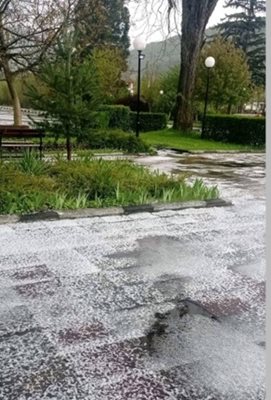 Градушка падна в в село Говежда. Снимка Фейсбук/Meteobalkans.