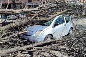 Силният ураган в Пловдив смачка десетки автомобили (Снимки)