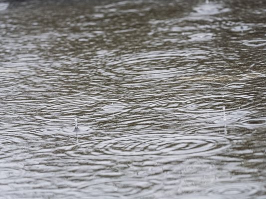 Около 1,5 млн. са щетите от поройните дъждове в община Берковица