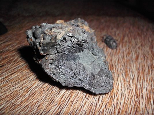 Парче от Тунгуския метеорит. Снимка: Архив