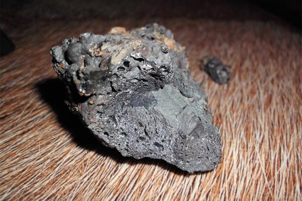 Парче от Тунгуския метеорит. Снимка: Архив