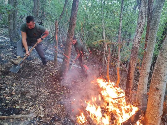 Военнослужещи продължават да оказват помощ за овладяването на пожара в планината Славянка СНИМКИ: МО