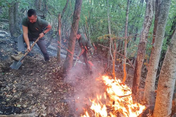 Военнослужещи продължават да оказват помощ за овладяването на пожара в планината Славянка СНИМКИ: МО