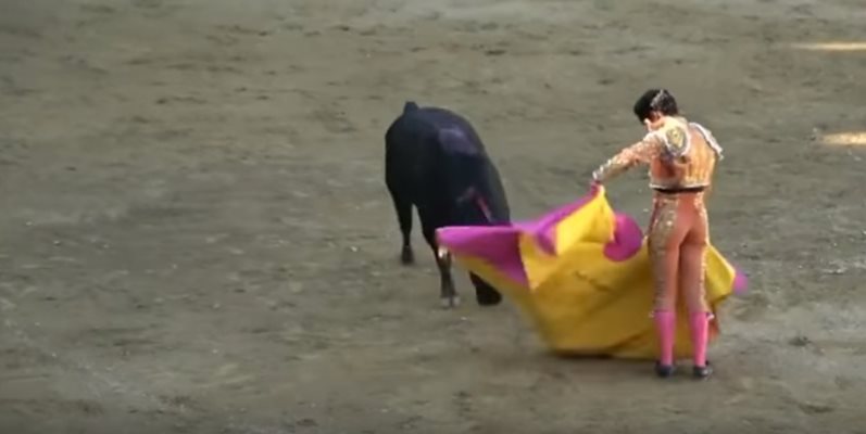 Един от най-известните испански тореадори Иван Фандиньо бе намушкат смъртоносно от бик на една от испанските арени. Кадър: YouTube/Azby59