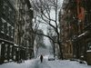 Най-малко трима загинали при снежните бури в САЩ, хиляди домакинства са без ток
