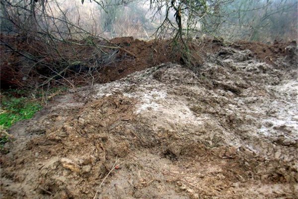 30 тона фекалии от кравефермата до село Драгомъж отровиха водата в района.
СНИМКИ: АВТОРЪТ