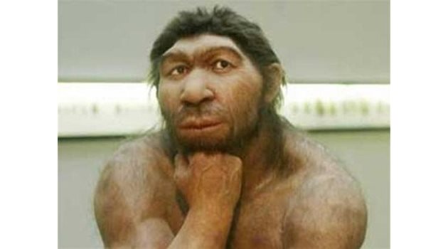 Неандерталци и праисторически хора понякога прибягвали до канибализъм.