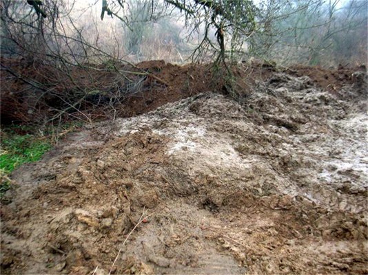 30 тона фекалии от кравефермата до село Драгомъж отровиха водата в района.
СНИМКИ: АВТОРЪТ