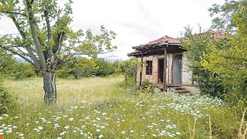 Над 40 млн. лв. отиват по мерки за опазване на местните сортове зеленчуци и овощни видове