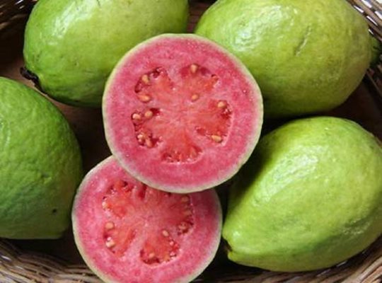 Ароматен плод от гуава