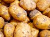 Любимият сорт картофи във Великобритания застрашен, няма работници заради Брекзит