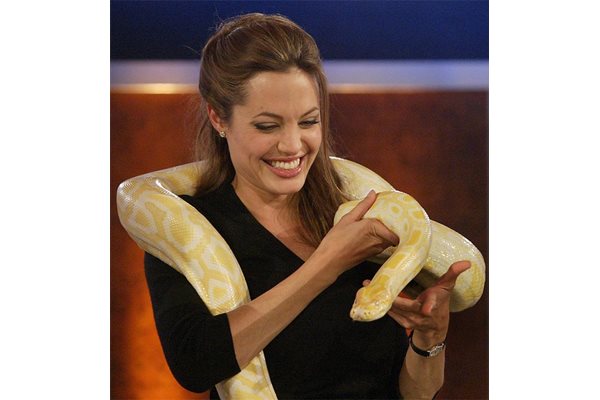 Брад Пит е зодия Змия и очевидно Анджелина Джоли няма никакъв проблем с него.