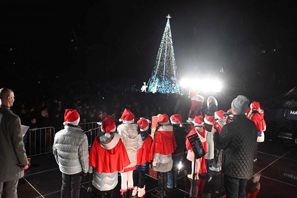 Sofia Sparkle with Holiday Decorations as Festive Season Begins