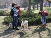 Инспектори и полицаи погват стопани на кучета в Пловдив