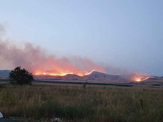 Пожар гори край бургаското село Изворище Снимка: Facebook/Yuliya Balevska