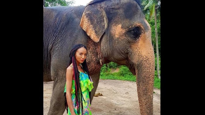 Слон за малко щеше да смачка крехката Ани Хоанг в Тайланд