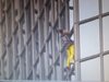 Френският "Човек - паяк" покори 187-метров небостъргач в Париж (видео)