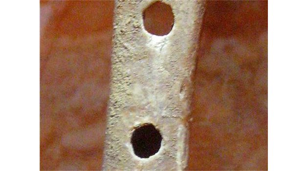 ИНСТРУМЕНТ: Флейта от мечешка бедрена кост, изработена преди 43 000 - 67 000 години.