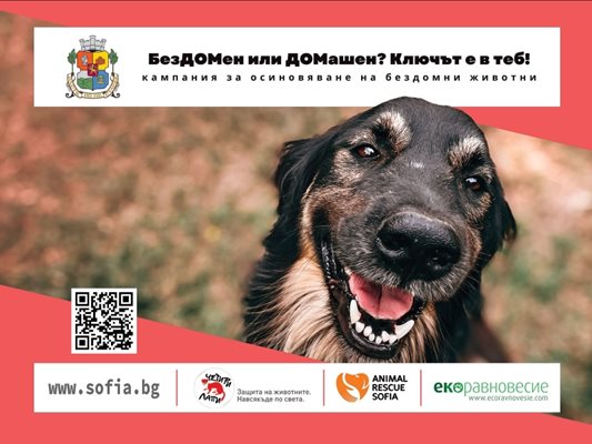 Музеят на София се включва в кампания за осиновяване на бездомни животни
