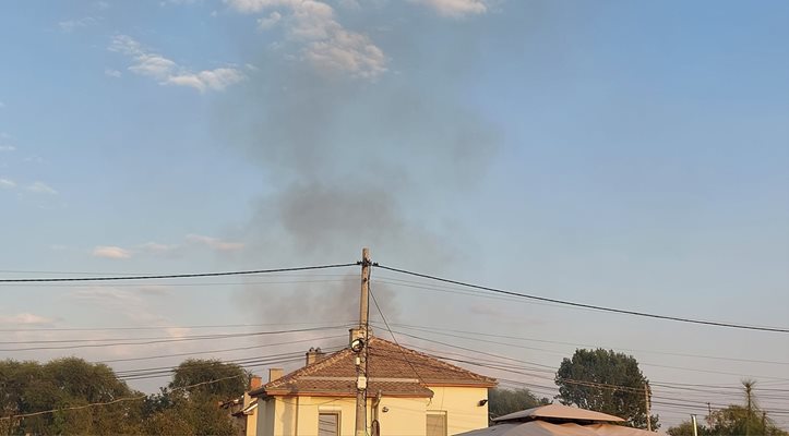 Димът над Скутаре притесни местните жители.


Снимка: Скутаре без цензура