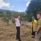 Държавните гори, засегнати от пожара при с. Елшица, ще бъдат възстановени
