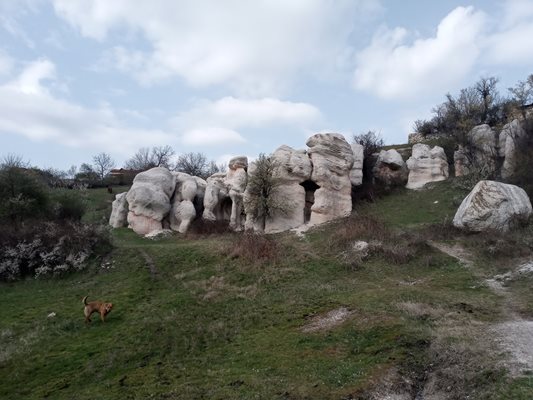 Около природния феномен Каменната сватба край Кърджали има много поляни, подходящи за пикник.
