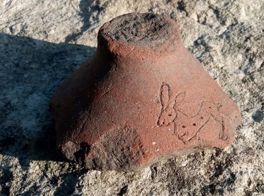 Любопитна находка е парче от питос, върху което грънчарят е изобразил бягащ заек.