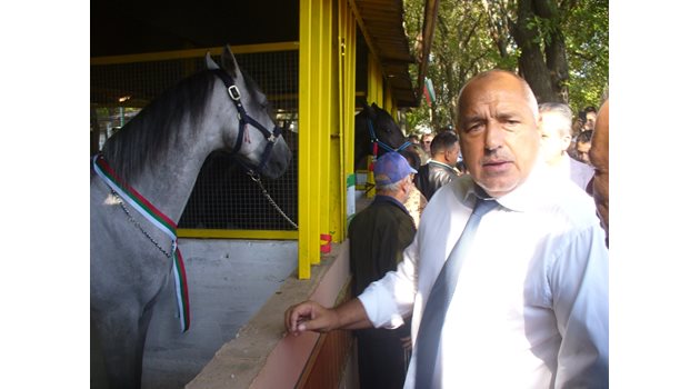 Премиерът Бойко Борисов хареса българските породи коне, показани на изложението.