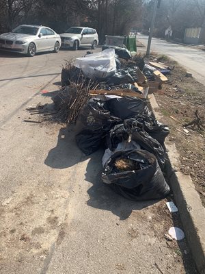 "Елитни" боянчани си чистят дворовете и хвърлят боклуците пред съседите