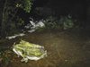 Частен самолет катастрофира в Македония