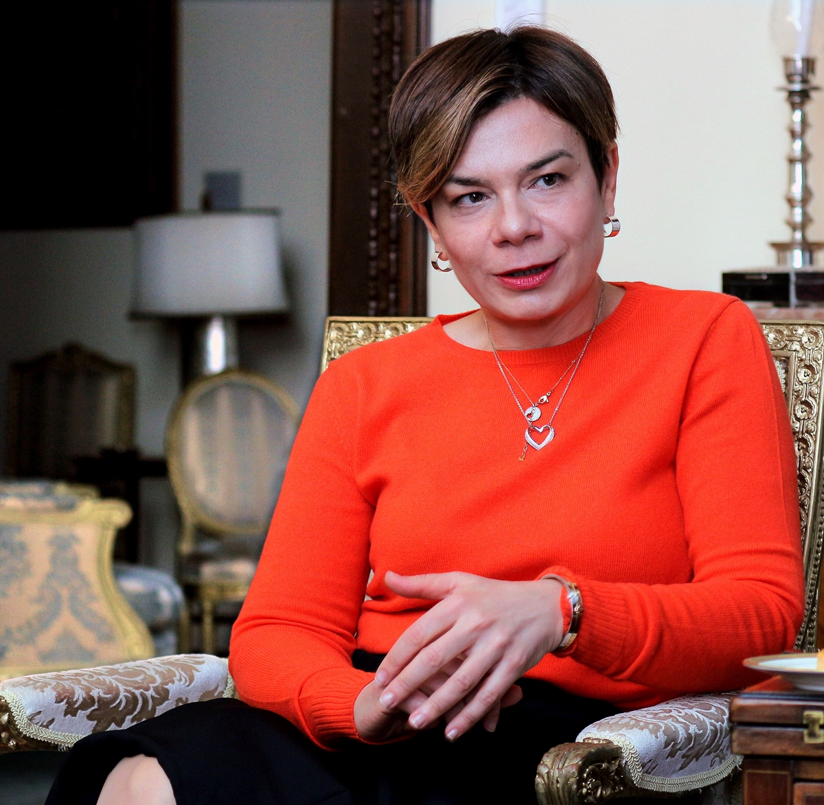Посланикът на Турция Айлин Секизкьок: Засегнати са площ колкото България и два пъти повече от населението на България