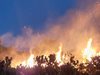 Между 70 до 100 декара от българската територия е обхванал пожарът, който гори на граница с Гърция
