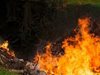 Над 500 декара горят в района на хасковското село Хухла