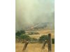 Пожар унищожи 85 дка с пшеница в шуменския квартал "Мътница" 
