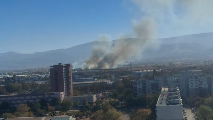 Пожарът е в южната част на Пловдив. Снимки: ФБ