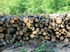 С 20% пада цената на дървата за огрев от държавата за следващата зима