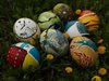 Зоологическата градина организира 
благотворителен търг с щраусови яйца