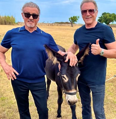 Brothers Sylvester and Frank Stallone in Puglia, where they became honorary citizens of Gioia del Colle Photo: Instagram/officialslystallone