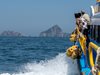 Фериботът ГКПП „Никопол“ – Търну Мъгуреле спира да плава заради повреда