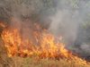 Пострадали от пожара в Харманлийско: Гореше от три места