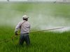 На ГКПП "Лесово" задържаха пестициди, забранени за внос в страната и ЕС
