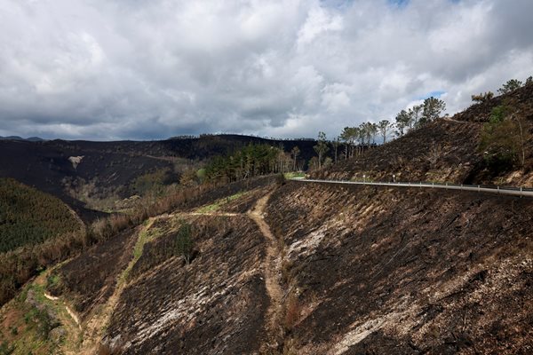 Почерняла от горски пожари планина след необичайно високи температури в Испания