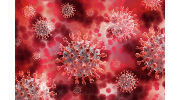 Противоепидемичните мерки срещу коронавирус ще се намалят и в Белгия
Снимка: Пиксабей