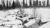 Как малки отряди от скиори разбиха 400 хил. съветска армия