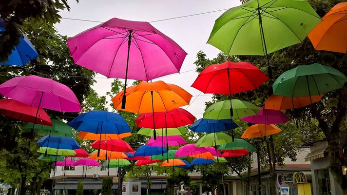 Цветни чадъри в Монтана напомнят за опасността от наркотиците
