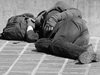 187 души са нощували в Кризисния център за настаняване на бездомни в столицата
