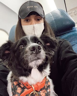 В самолета с кучето си