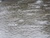 Жълт код за дъжд в 5 области утре, Враца днес ударена от буря