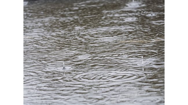 Yellow code for rain in 5 districts tomorrow, Vratsa today hit by a storm