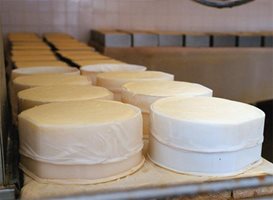 Бъдещата мадра ще произвежда сирене и кашкавал. Снимка: Архив